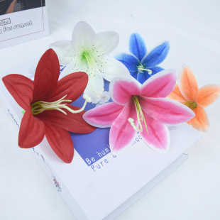 11���׽����ٺϻ��^�b��m���^�����c�Ҿ��bٻ����h���