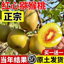 �J���Ҙ���繫ĸͬ��t�īJ����������޽�ˮ��������ϱ����Nֲ