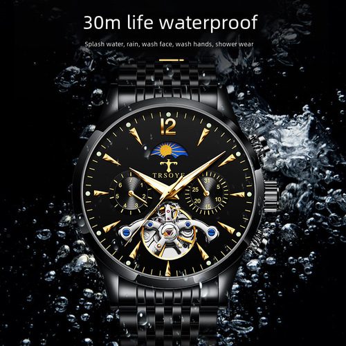 TRSOYE Live Streaming Men's Skeleton Mechanical Tourbillon Business Illuminated Waterproof Watch for Men Factory Wholesale