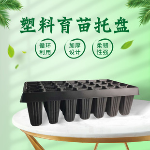 28-Hole Deepened Tree Seedling Tray Ps Plastic Seedling Tray with Deepened Design for Blueberry and Strawberry Seedlings