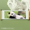Panda 221