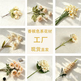 �㙉ɫϵ���滨�Ľ����ٻ��ҾӾƵ��b�ƿ�廨��ˇ��c�û����l