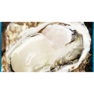 ��ɽ����r��1���r��Ϡ�ӎ���5���ش��rĵϠؐ��ˮ�a���l���ßo