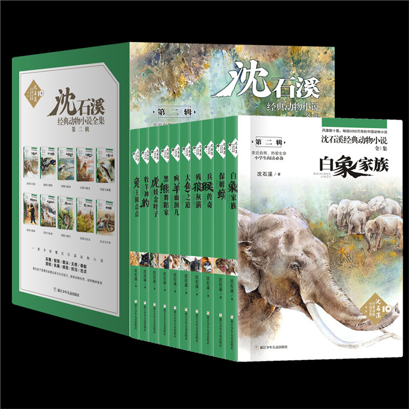 Shen Shixi의 최고의 고전 10대 두 번째 시리즈