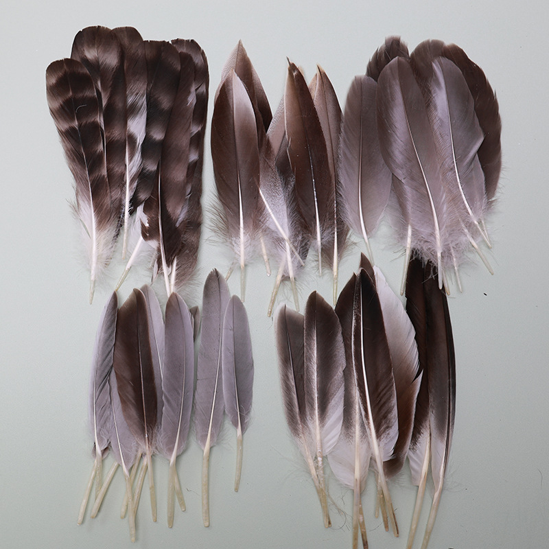 Fábrica al por mayor de bricolaje plumas pequeñas plumas naturales plumas de pollo salvaje plumas de pato jardín de infantes joyas hechas a mano gato divertido material de captura de sueños