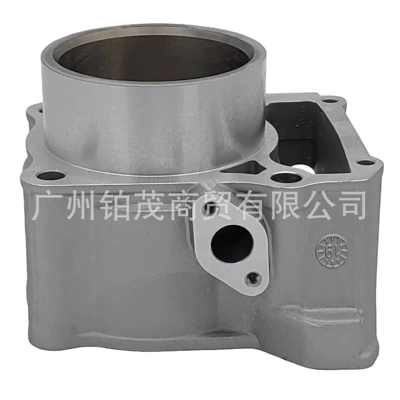 Motorcycle Engine Cylinder Kit Cylinder and parts