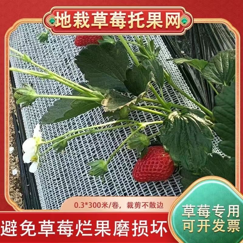 acc27227f4866a5d46ba88b64d6267