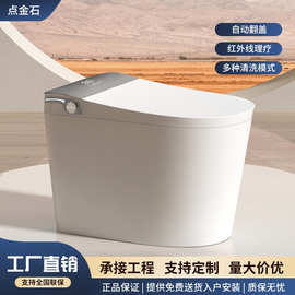 全自动智能马桶家用杀菌加宽座圈无水压限制多功能电动坐便器遥控