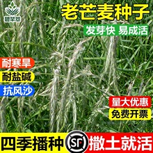 âݷNâţʳݳɻʸo¹|}