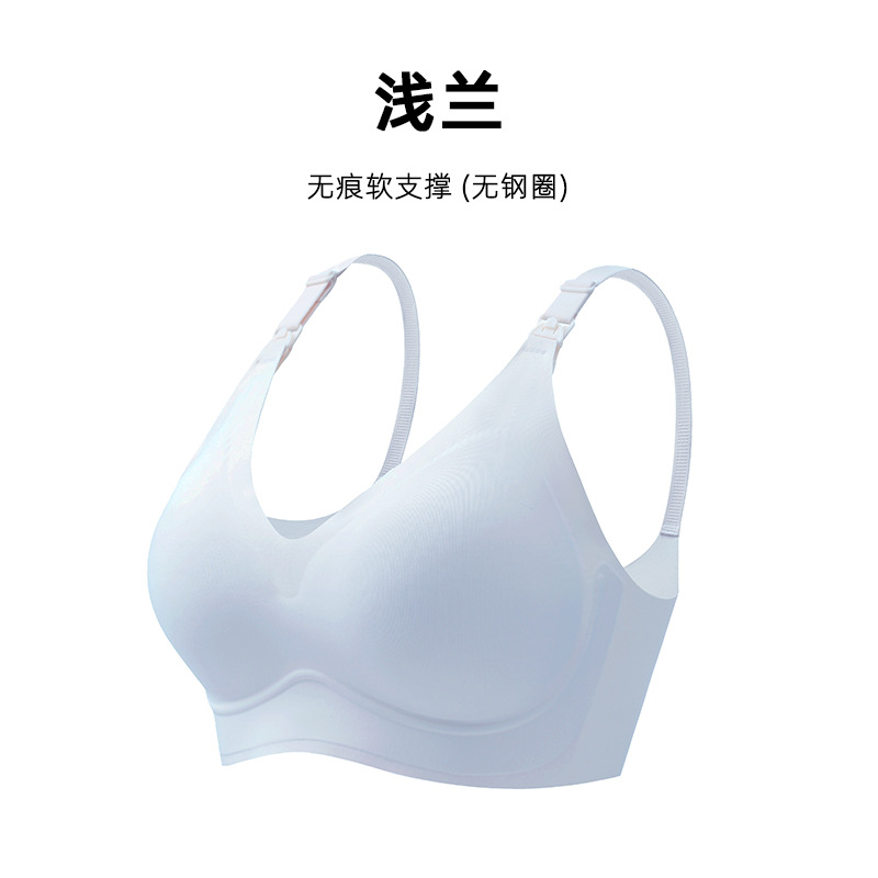 얕은 난초