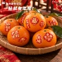 烫金新年新款春节贴纸