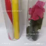收纳整理环保儿童硬管