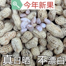 咸干水煮花生 晒干原味 白晒咸味日晒不上火广龙岩花生零食