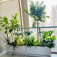 ���бPPVC����Nֲ���̨�͏d�L���λ�������͸��g����֧�ֶ���