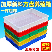 �����Bֳ���D���L�������ϱP���Ͽ��r�\�P���ռ{�����z�����S��