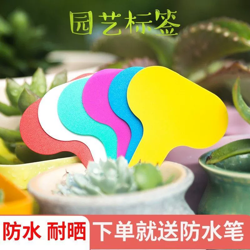 Водонепроницаемый, стойкий к воздействию солнца пластиковый ПВХ суккулентный знак садоводства знак знак знак цветочный знак знак знак знак знак знак