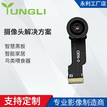 鸟类喂食器智能家居摄像头模组无延时30帧可视智慧黑板摄像机模块