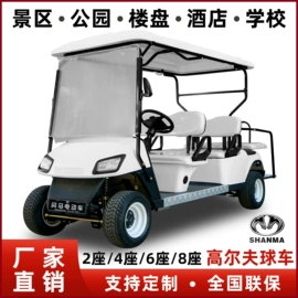 电动观光车;高尔夫球车;其他电动车