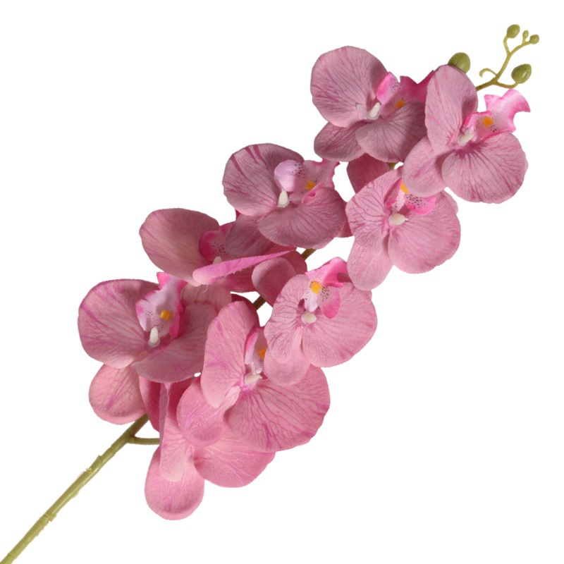 Sensación de tela de seda de simulación de flor seca única 9 Phalaenopsis flor artificial orquídea boda hogar decoración de hotel flor falsa