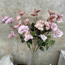 6^dӻ滨yɏcˇܛbܽػɽ軨ͮLY