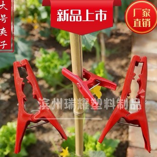 �����A���ϊA������A�S��������Ͻz�ϊA�������̶��_�h��ֲ��A