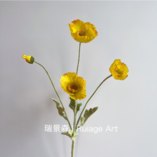 �羳���N��ɫ�����˻����ڻ����滨Ʒ�|Դ�^���S���lܛ�b��c����