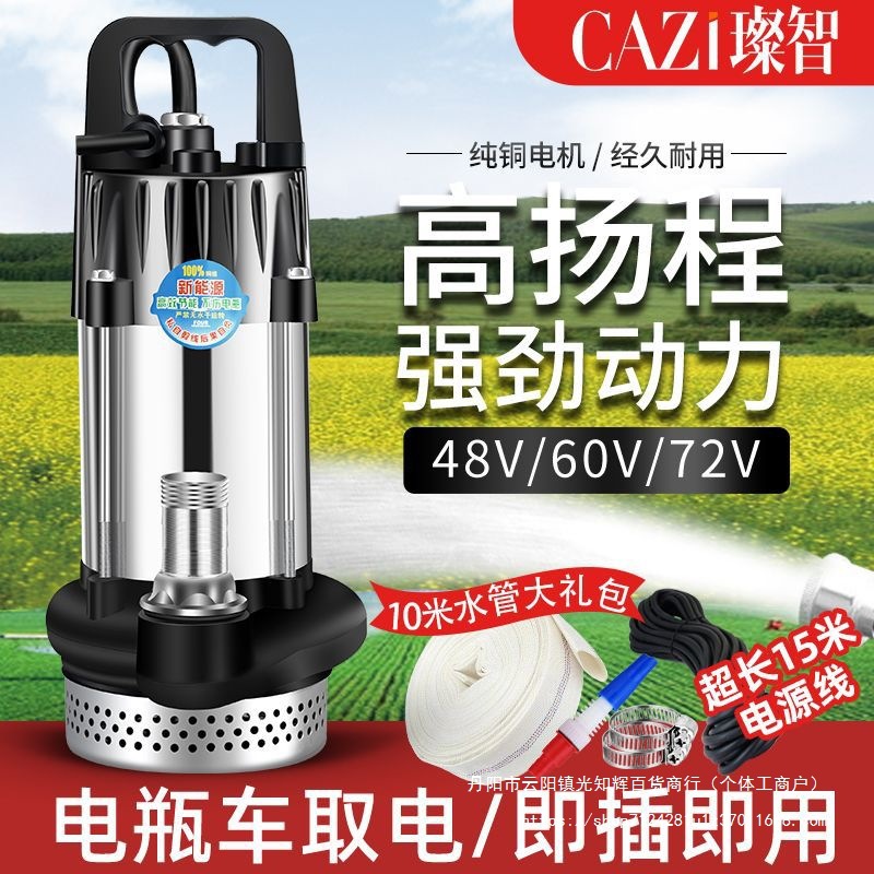 无刷直流潜水泵48V60V72V插电瓶车电动车抽水泵家用农用铸铁其它