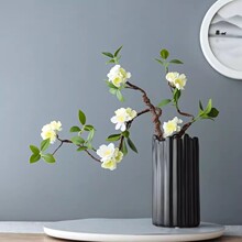 ����l��֦÷��֦�ٻ��[���D÷֦�һ�ˇ�͏d�����[�O��ʽ�Ҿ��b�