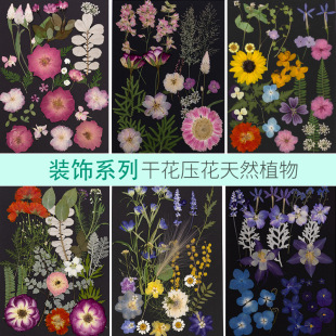 Flower Diy Dropping Glue Mobile Phone Shell Photo Face Makeup Handmade Material Plant Specimen Dried Flower Embossed Material Bag