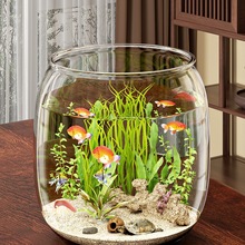 鱼缸生态缸客厅小型2025新款桌面观赏塑料圆形一体成型仿玻璃防摔