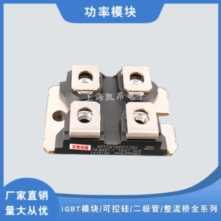 功率二极管模块DWM90X2-06NP  DWM100X2-06N DWM2F100N040原装