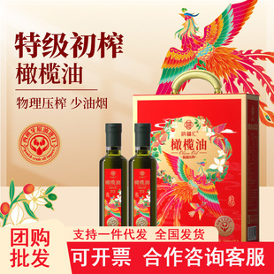�{���R���������ϙ��ͶY��500ml*2�����͜���ե��ˇʳ����