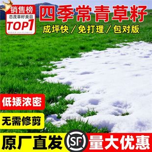 �����ݲ��Ѷ������Ͱ������ļ�����ͥԺ�e�����@�G����ƺ�N��