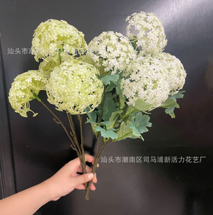 �S�����l���ϴ�5�^�𻨼Ҿӻ�c�Ƶ��b��滨�廨�zӰ���߼ٻ�