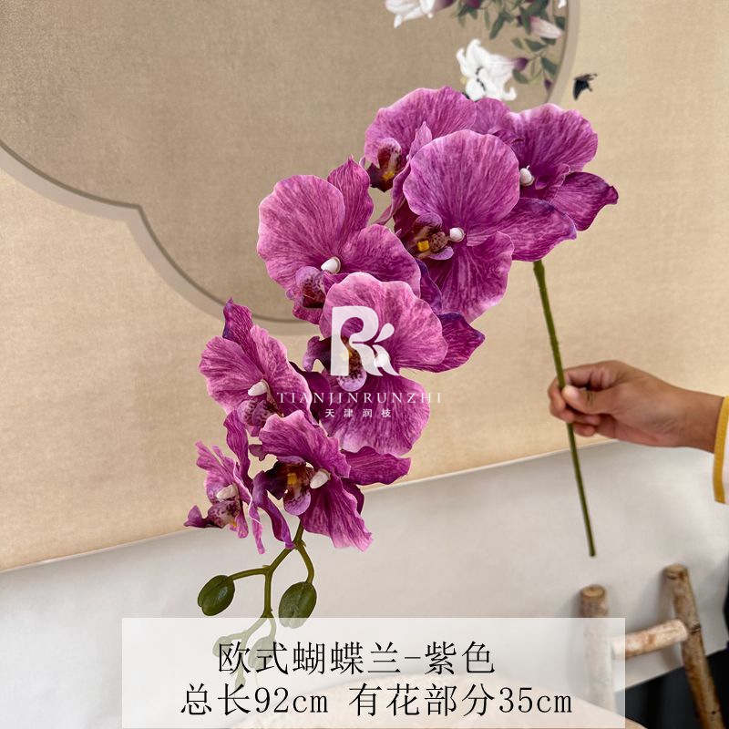 보라색