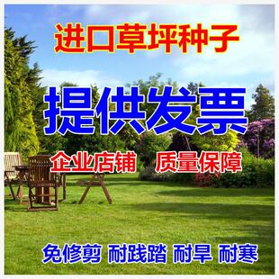 �M�ڰ����ļ����ƺ�N�Ӳ��޼�ͥԺ�G������é�������o�²���