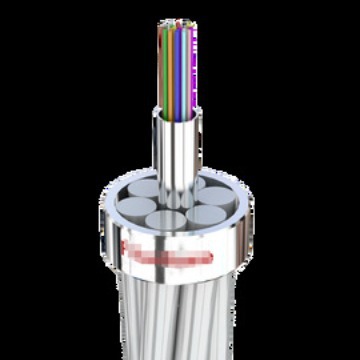 2024-02-29 11:46:04.jpg