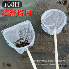 �W��ľ��100Ŀ�����W�~�S�坍�ƾW�~����������С�۳��W�~�W���r