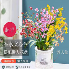 mmˮԲˮBmˮ໨ؼˮm