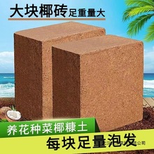 泡发斤印度脱盐大椰砖椰土椰粉砖种菜无菌营养土绿萝土椰糠包邮