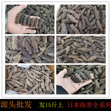 �����ɺ��� �ձ��P�|�� �P�� �t�� �_�Ӆ�  Ҏ��ȫ �l15��