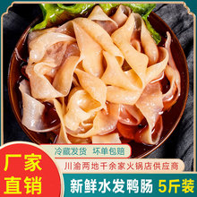 生鲜鸭肠火锅食材冒菜串串厂家直销商用批发整箱