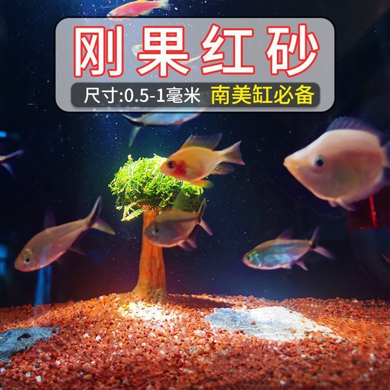 South American tank: Congo red sand [0.5-1mm]]