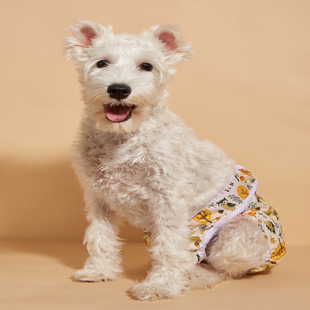 Amazon perro hembra perro fisiológico pantalones pañal pañales menstruales mascotas fisiológicas pantalones fábrica al por mayor image 12