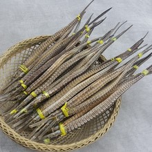 公母1对起批发海龙大号六角龙 中药药材海鲜干货可泡酒 煲汤 磨粉