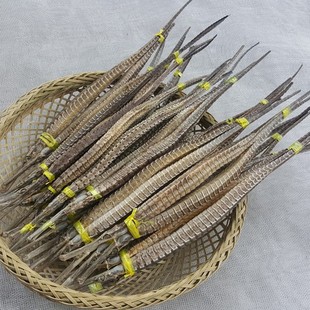 ��ĸ1�������l������̖������ ��șș�ĺ��r��؛���ݾ� �Ҝ� ĥ��