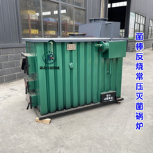 食用菌常壓滅菌鍋爐香菇平菇菌棒柴煤產汽爐卧式蒸汽鍋爐