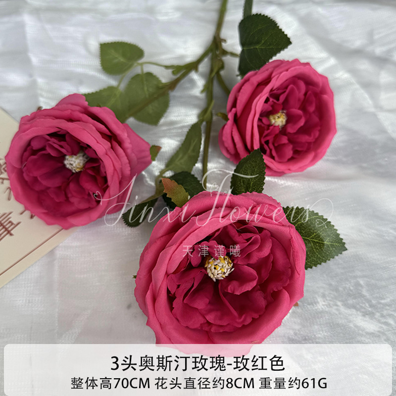 로즈 레드