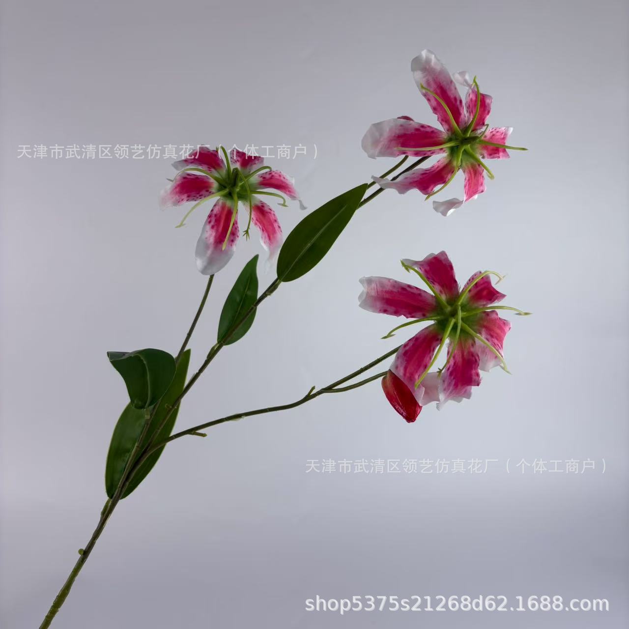 분홍색