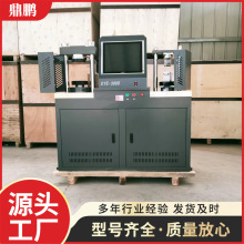 电脑全自动水泥抗折抗压试验机一体机机DYE-300S混凝土压力试验